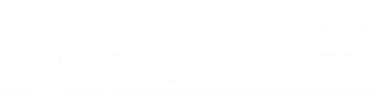 BlueVenn Logo