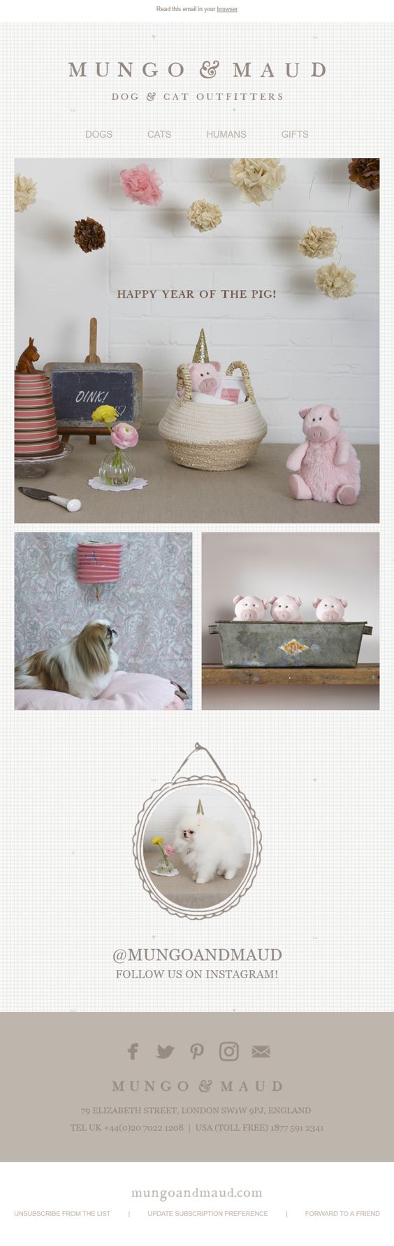 Chinese Lunar New Year cute marketing email inspiration