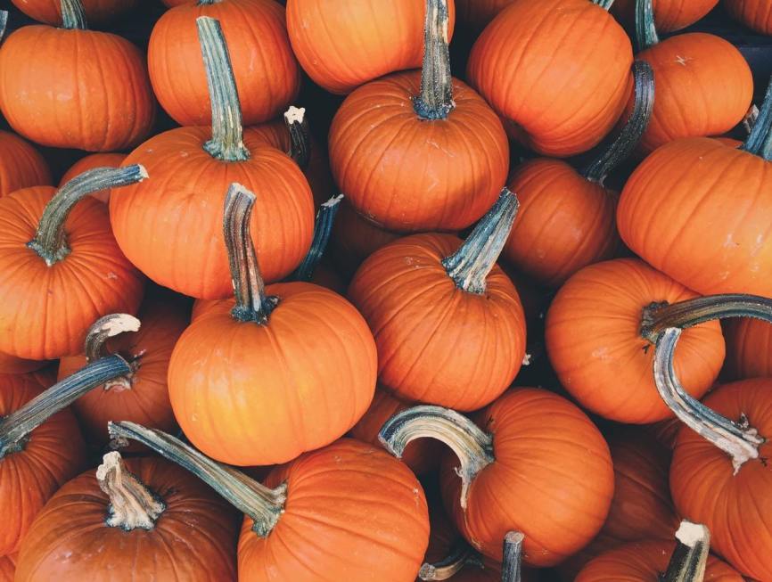 pumpkin halloween social share image 4 frighteningly fab halloween emails